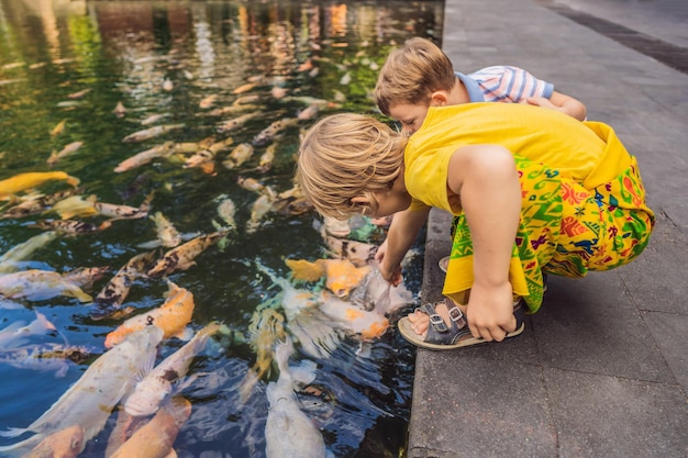 Jungen füttern Koi-Karpfen im Teich