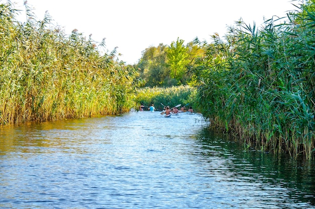 Jungen paddeln Kanus auf dem Riverr