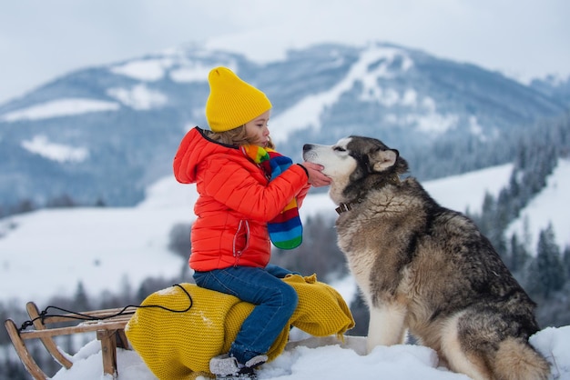 Jungenkind, das mit schlitten mit sibirischem husky-hund im winterschnee schiebt, weihnachtet kinderferien und ...