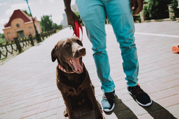 Junger Afroamerikaner-Mann-gehender netter Brown-Hund