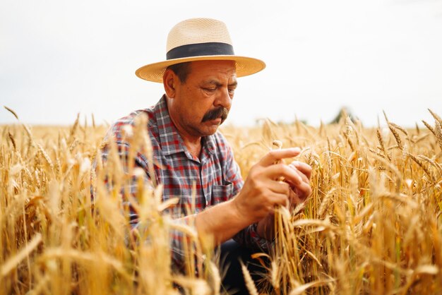 Junger Agronom im Getreidefeld Landwirt im Strohhut, der in einem Weizenfeld steht Getreideanbau