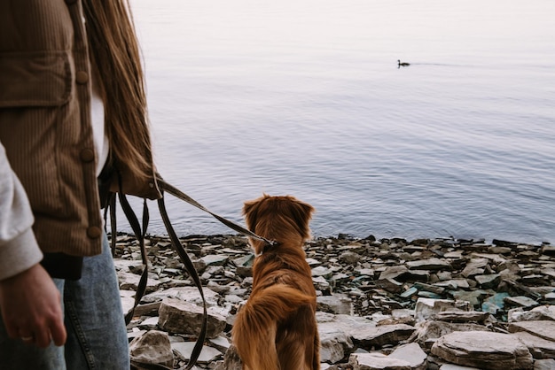 Junger aktiver Hundetoller an der Leine mit junger Frau des Besitzers im Freien