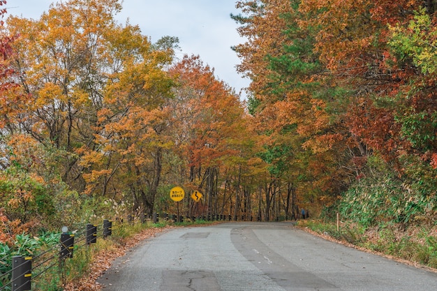 Foto junger asiatischer weiblicher reisender, der die ansicht der herbstlandschaft der bandai azuma-seelinie, fukushima, japan genießt