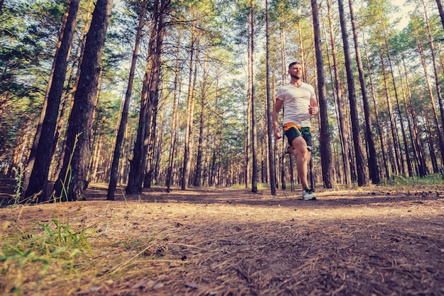 Junger athletischer Mann, der auf einem Waldweg joggt
