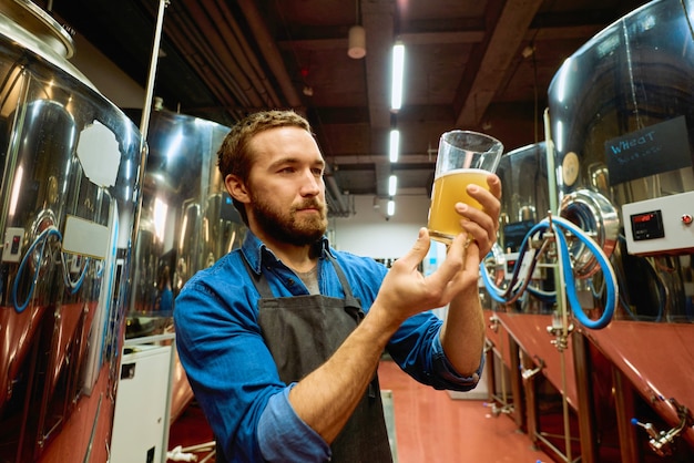 Junger bärtiger Brauer mit einem Glas Bier, der seine visuellen Eigenschaften nach der Zubereitung bewertet, während er vor der Kamera steht