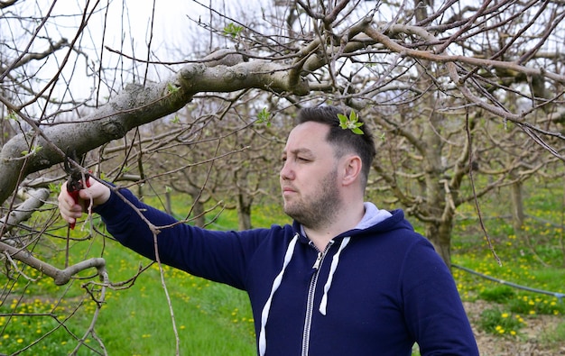 Junger Bauer beschneidet Apfelbaum im Frühling