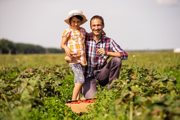 Junger Bauer, der im Garten arbeitet und Erdbeeren für seine kleine Tochter pflückt