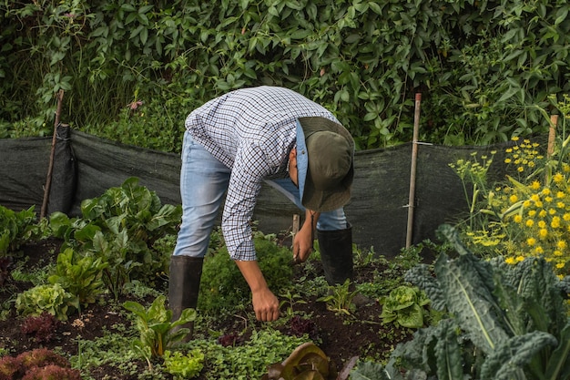 Junger Bauer hockt und kümmert sich um den Garten