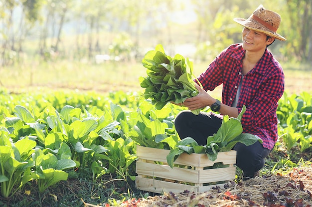 Junger Bauer mit Bio-Gemüse in Holzkisten Er wird den Kunden frisches Gemüse liefern.