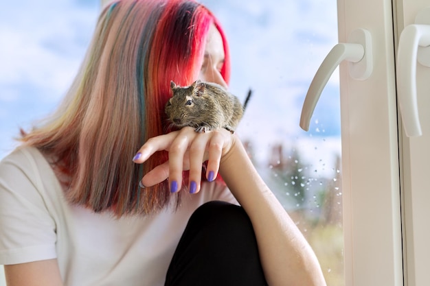 Junger Besitzer mit Haustier und Degu-Eichhörnchen Jugendmädchen, das aus dem Fenster schaut