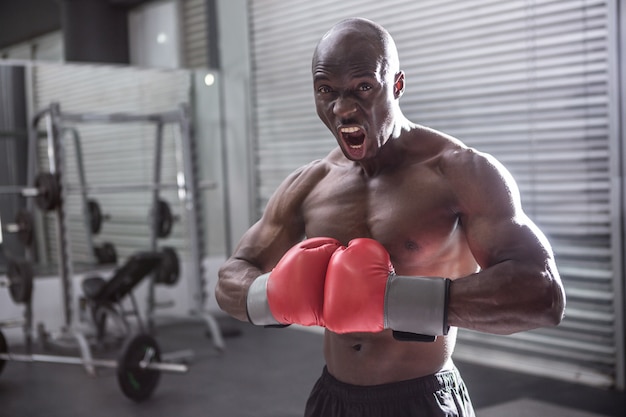 Junger Bodybuilder, der vor der Kamera aufwirft