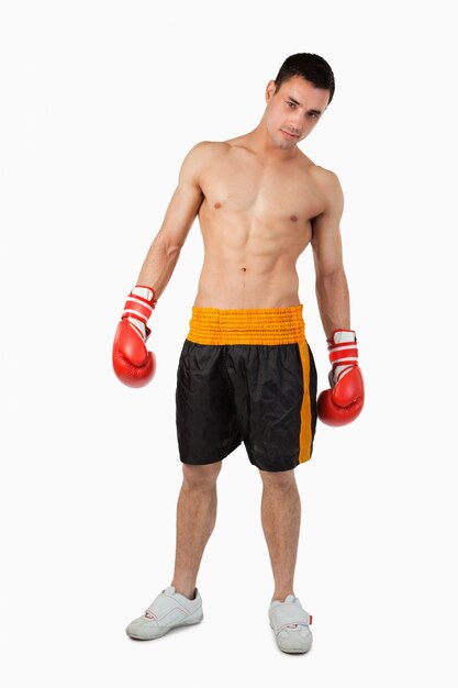 Junger Boxer