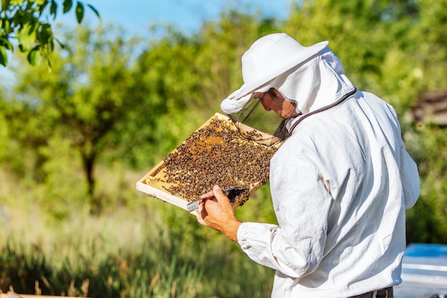 Junger Imker, der im Bienenhaus arbeitet Imkerkonzept Imker, der Honig erntet