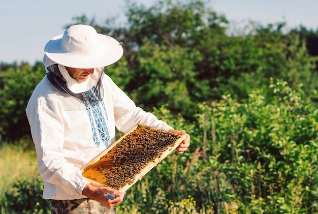 Junger Imker, der im Bienenhaus arbeitet.