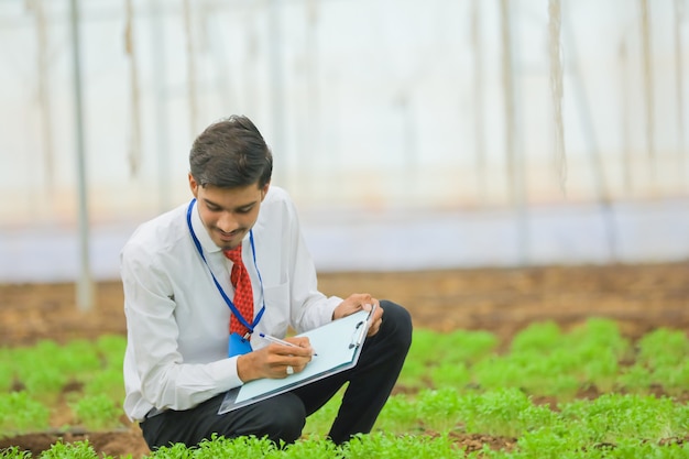 Junger indischer Agronom, der Notizblock benutzt, um einige Informationen im Gewächshaus zu sammeln