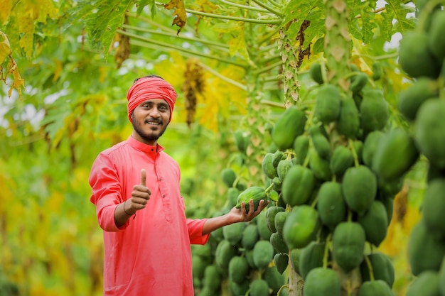 Junger indischer Bauer am Papaya-Feld