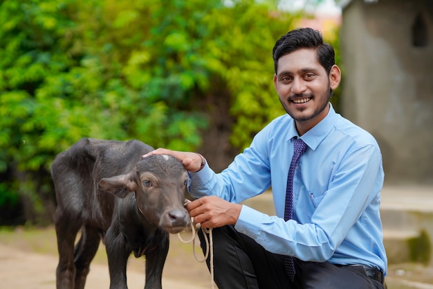 Junger indischer Tierhaltungsbeamter oder Bankier mit Kalb