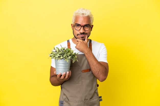 Junger kolumbianischer Mann, der eine Pflanze hält, die auf gelbem Hintergrund isoliert ist, denkt