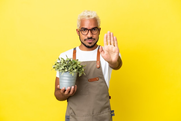 Junger kolumbianischer Mann, der eine Pflanze isoliert auf gelbem Hintergrund hält und eine Stopp-Geste macht