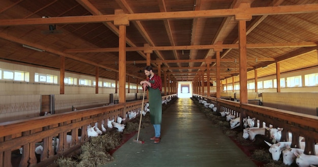 Junger Landarbeiter, der Ziegen putzt und füttert Produktionskonzept für die ökologische Landwirtschaft