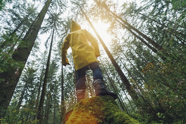 Junger Mann, der auf einem Baumstamm im Wald steht und in einem gelben Regenmantel zu den Baumwipfeln schaut