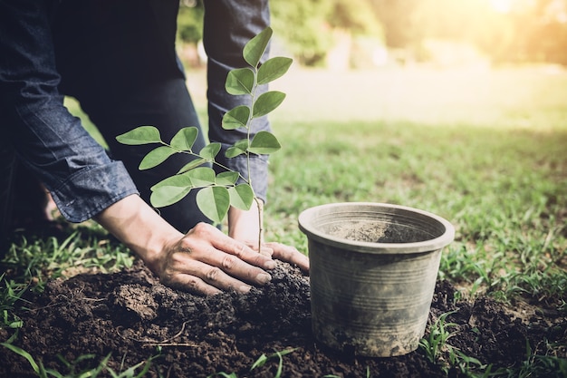 Junger Mann, der den Baum im Garten als Tag der Erde pflanzt und speichern Weltkonzept