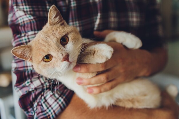 Junger Mann, der eine Katze in seinen Armen hält.
