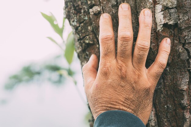 Junger Mann, der einen großen Baum mit seiner Hand berührt