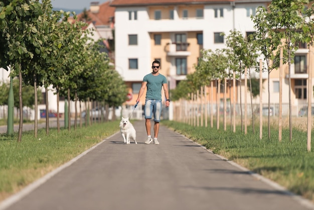 Junger Mann, Der Hund Für Spaziergang Im Park Nimmt