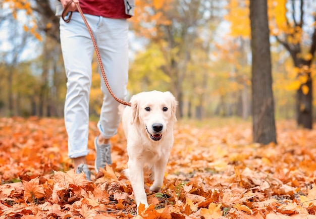 Junger Mann, der mit seinem Hund im Park spazieren geht