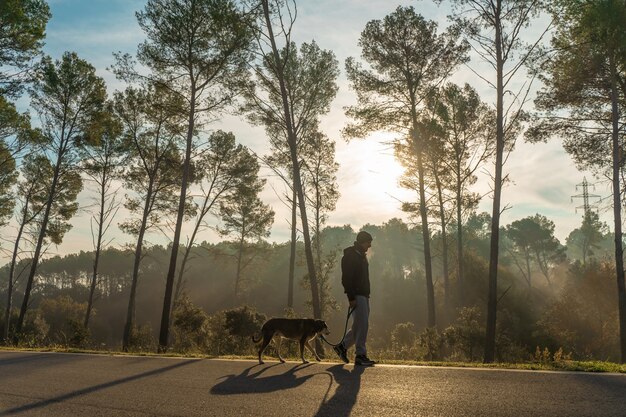 Junger Mann hat Spaß mit seinem Hund in der Natur mit den Strahlen der Morgensonne warm leuchten