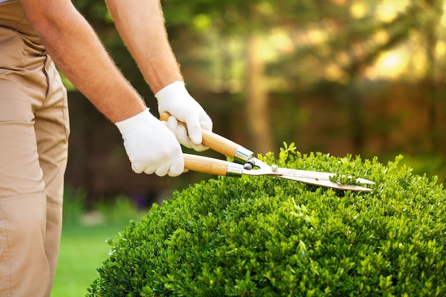 Junger Mann in Arbeitsuniform schneidet grünen Baum