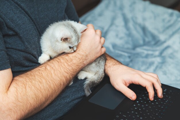 Junger Mann mit Kätzchen, das an seinem Laptop arbeitet. Das Konzept des Online-Lernens und der Online-Arbeit.