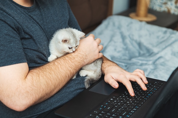 Junger Mann mit Kätzchen, das an seinem Laptop arbeitet. Das Konzept des Online-Lernens und der Online-Arbeit.