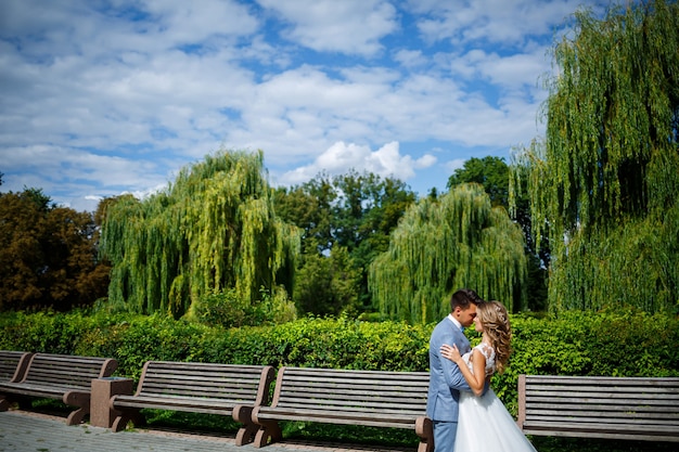 Junger stylischer Kerl in einem Anzug der Bräutigam und die Braut schönes Mädchen in einem weißen Kleid mit einem Zugspaziergang im Park an ihrem Hochzeitstag wedding