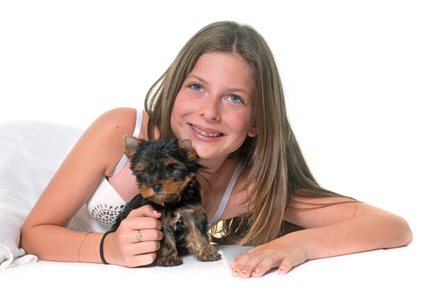 junger Yorkshire-Terrier und Kind