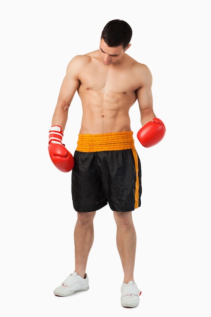 Junger zerrissener Boxer