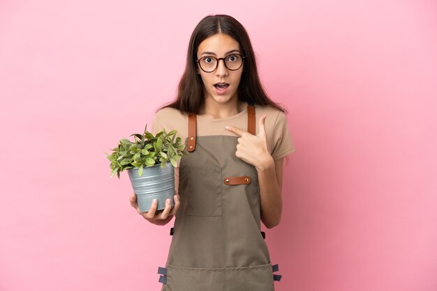 Junges Gärtnermädchen, das eine Pflanze lokalisiert auf rosa Hintergrund mit Überraschungsgesichtsausdruck hält