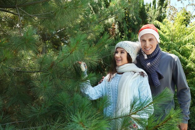 Junges glückliches Paar am Weihnachtsbaummarkt