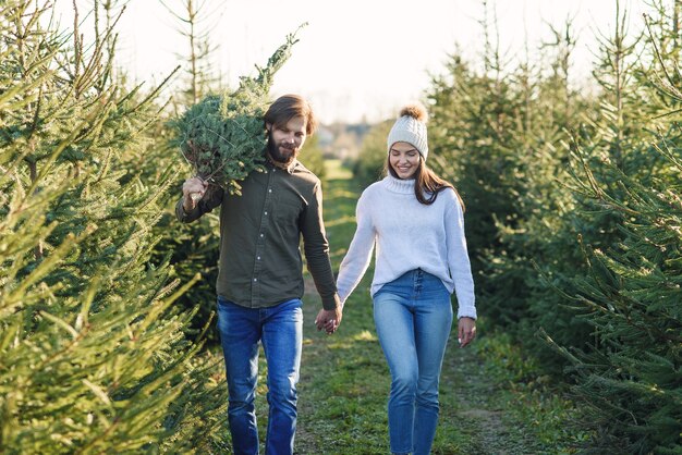 Junges glückliches Paar kaufte frischen Weihnachtsbaum an der Plantage, die Feiertage vorbereitet. Schöne Winterferien