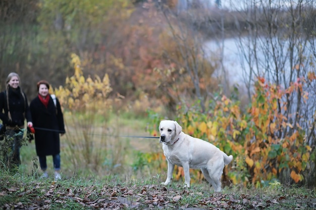 Junges Mädchen auf einem Spaziergang im HerbstgartenxA