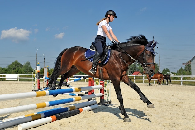 Junges Mädchen auf ihrem Lorbeerpferd springt beim Training über eine Barriere.