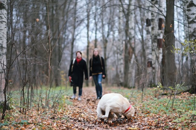 Junges Mädchen bei einem Spaziergang im Herbstgarten