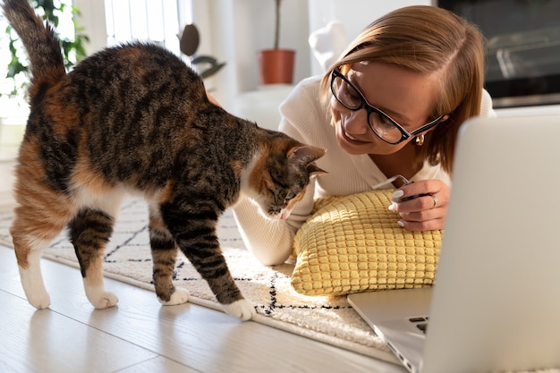 Junges Mädchen, das von zu Hause aus arbeitet, spielt mit einer freiberuflichen Studentin der Katze im Fernunterricht, die Haustier streichelt