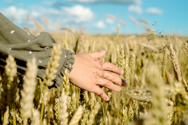 Junges Mädchen tanzt in einem Weizenfeld. Fährt mit der Hand über die Ohren. Steht mit dem Rücken. Haare fliegen im Wind, Lebensstil. emotional drehen und springen.