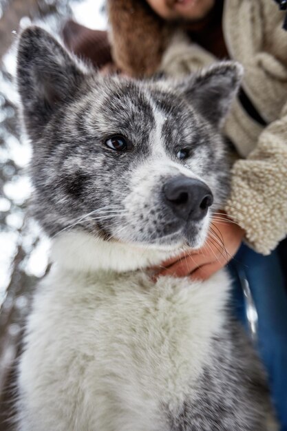 Junges Paar auf einem Spaziergang im Winterwald mit einem Hund Husky Ausgewählter Fokus