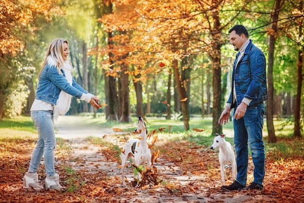 junges Paar, Frau und Mann in Denim-Kleidung, die im Herbst mit zwei Whippet-Hunden im Freien spazieren gehen?