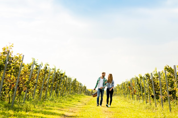 Junges Paar im Weinberg