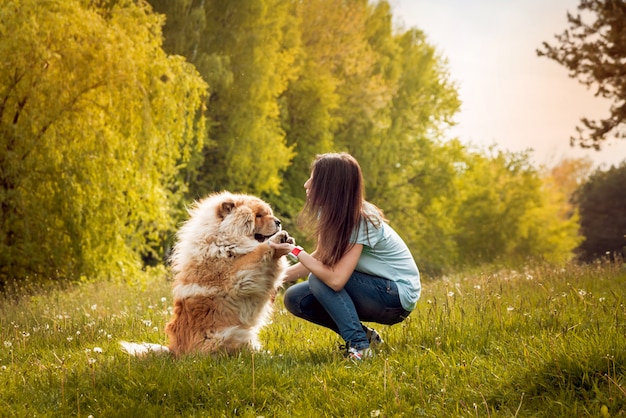 Junges Paar mit den Hunden im Park