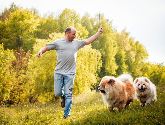 Junges Paar mit den Hunden im Park